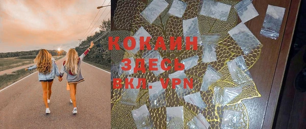 хмурый Липки