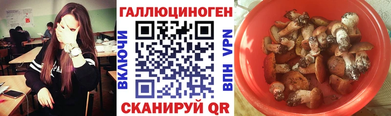 Псилоцибиновые грибы ЛСД  дарк нет телеграм  Салават 