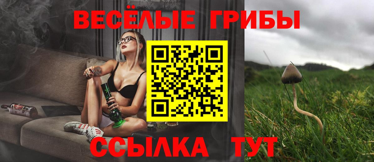 Псилоцибиновые грибы MAGIC MUSHROOMS  где продают наркотики  Галлюциногенные грибы мицелий  Салават 