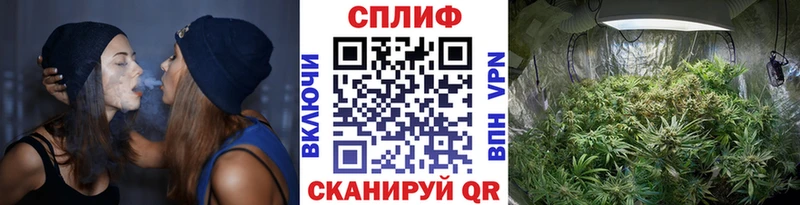 где купить наркотик  Салават  Канабис AK-47 